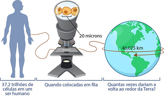 cells circle Earth