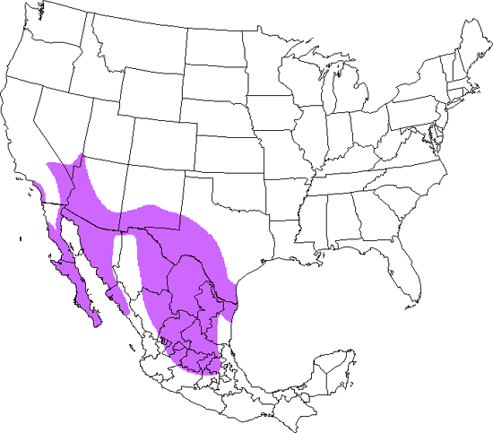 bird range map