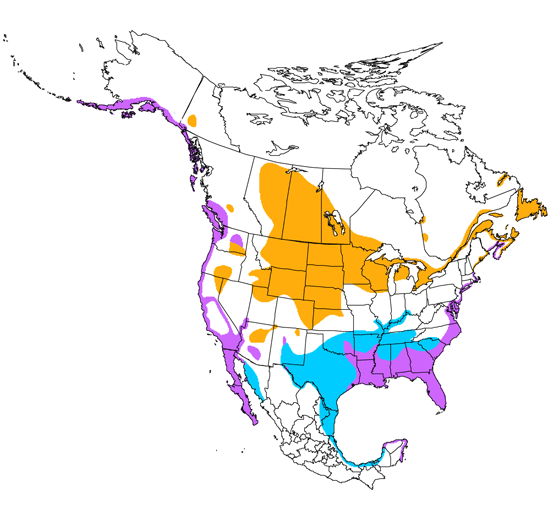 bird range map