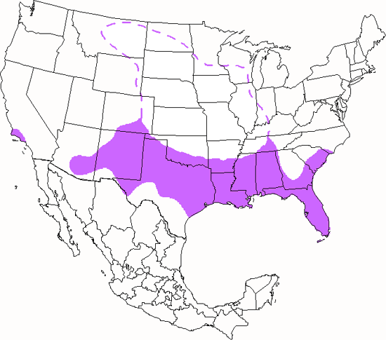 bird range map