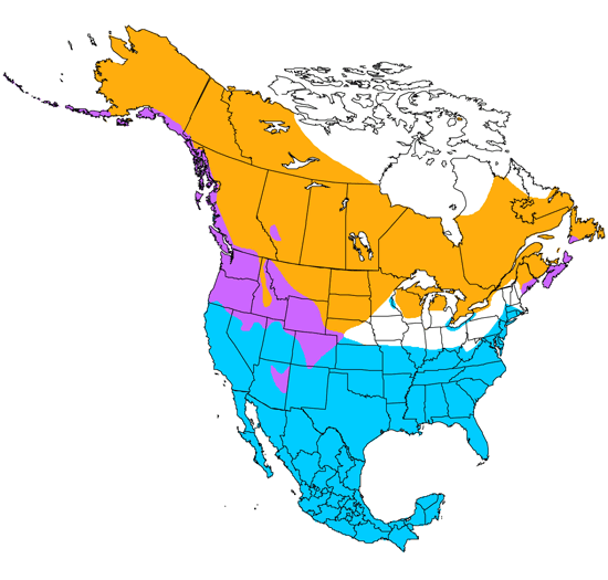 bird range map
