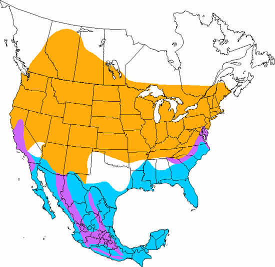 bird range map