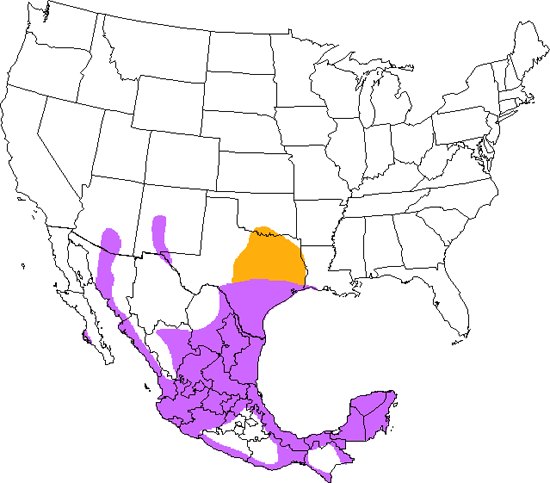 bird range map