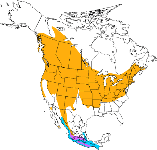 bird range map
