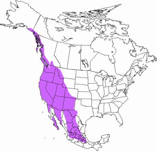 bird range map