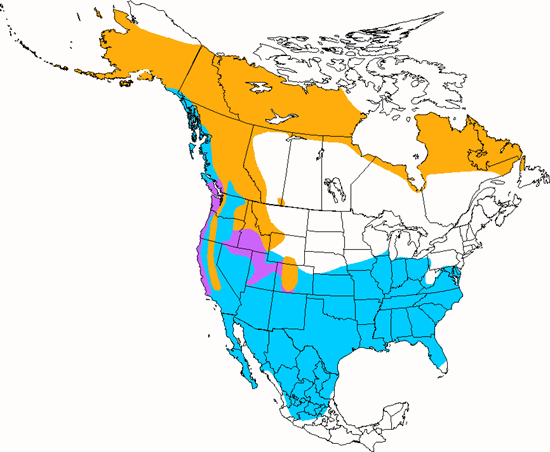 bird range map