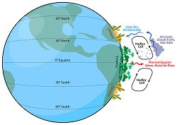 Hadley cells