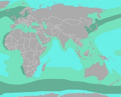 Carte de la prévalence du plancton