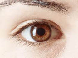 les yeux bruns