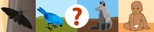 Symboles de questions proximales et ultimes.