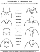 Ant Heads Matching Activity