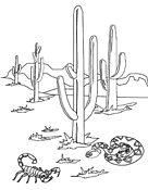 Desert