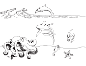 Ocean