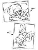 Ugly Bugs 2010