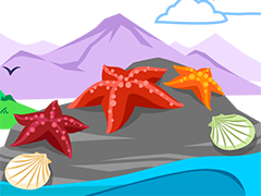 Boundless biomes
