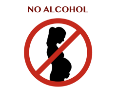 crossed out silhouette of a pregnant woman reading "no alcohol"