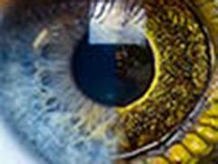 Morphing eye