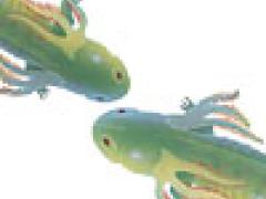 Two green salamanders