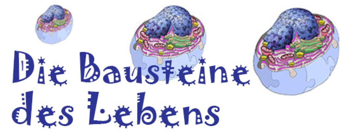 Die Bausteine des Lebens