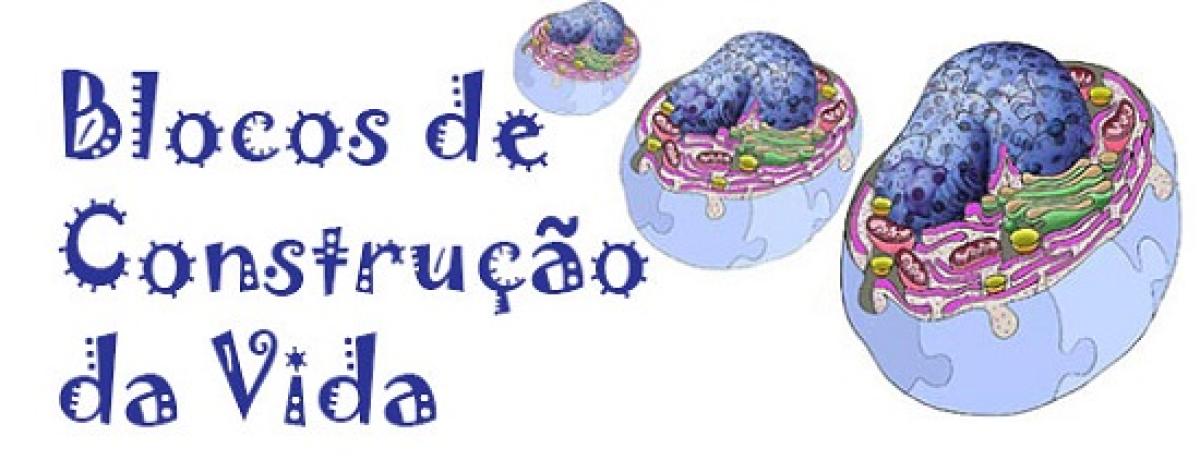 Blocos de construção da vida