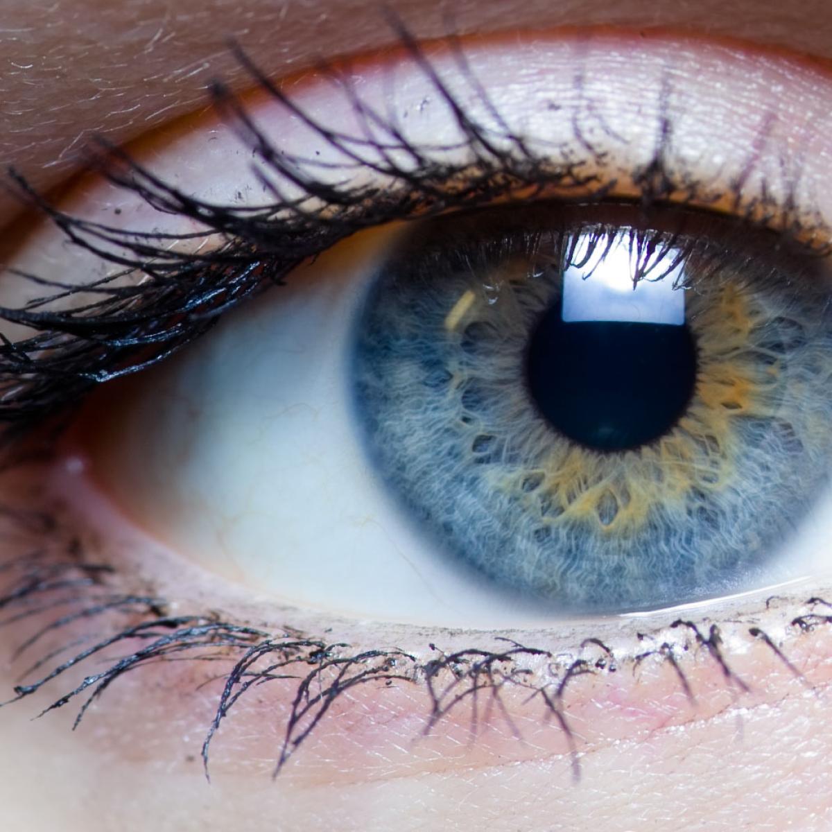 Blue human eye image links to Top Question