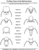 Ant Heads Matching Activity