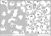 A maze of space in a piece of arctic ice