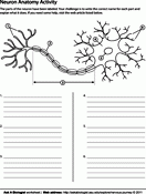 Neuron Coloring page image link