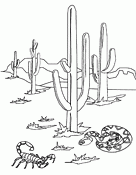 Desert