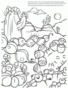 Desert Fruits