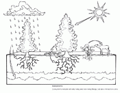 Ecosystems